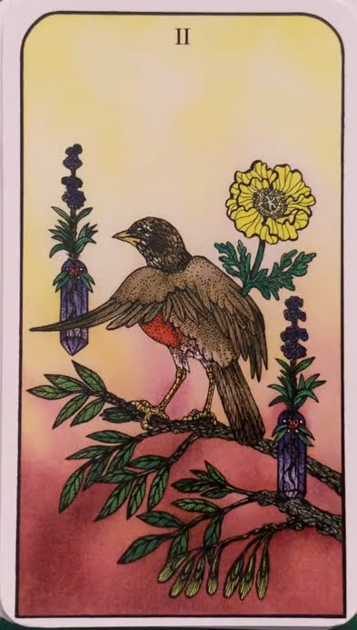 Nature Spirit Tarot